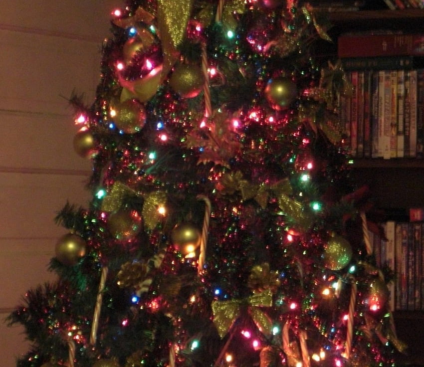 Christmas Tree, decorations, christmas, ornaments HD wallpaper