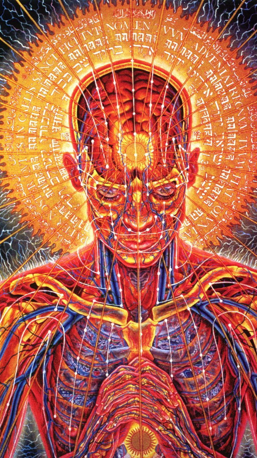 Madz Wilz en Herramienta. Alex grey, Arte de alex grey, Arte fondo de pantalla del teléfono