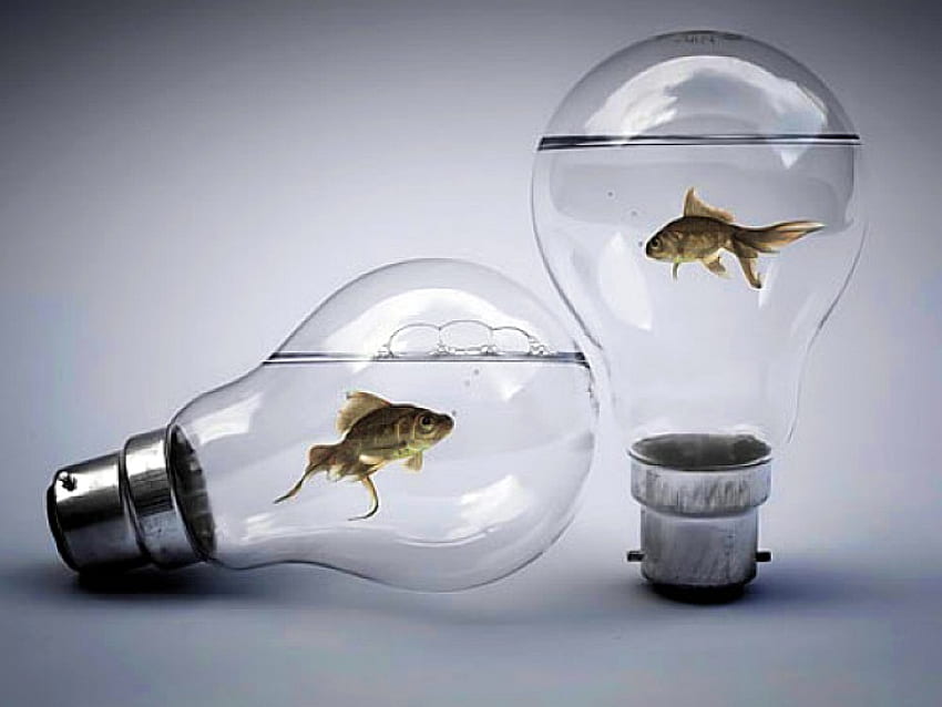 Fish-Bulbs, , cool, fish, bulbs HD wallpaper