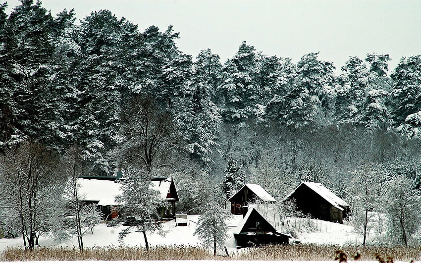 Winter, Nature, Houses, Trees, Snow, Mighty, Small Houses HD wallpaper