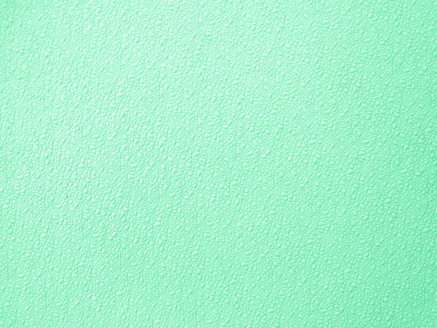 Mint - afari - พื้นผิวสีเขียวมิ้นต์ สีเขียวอ่อนสวยงาม วอลล์เปเปอร์ HD