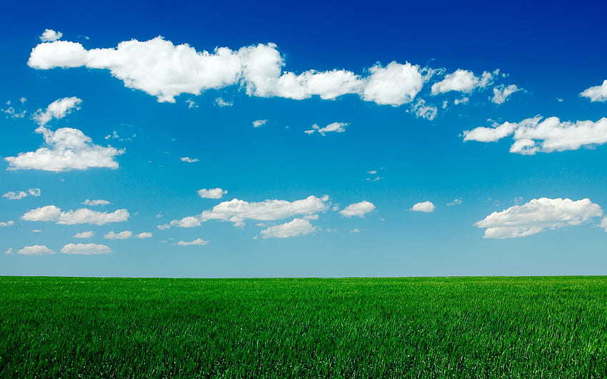 Clear Blue Sky Green Grass Field [] за вашия мобилен телефон и таблет. Изследване на полето. Ултра дълбоко поле на Хъбъл, Чикаго Къбс, Лавандулови полета, Тревисто поле HD тапет