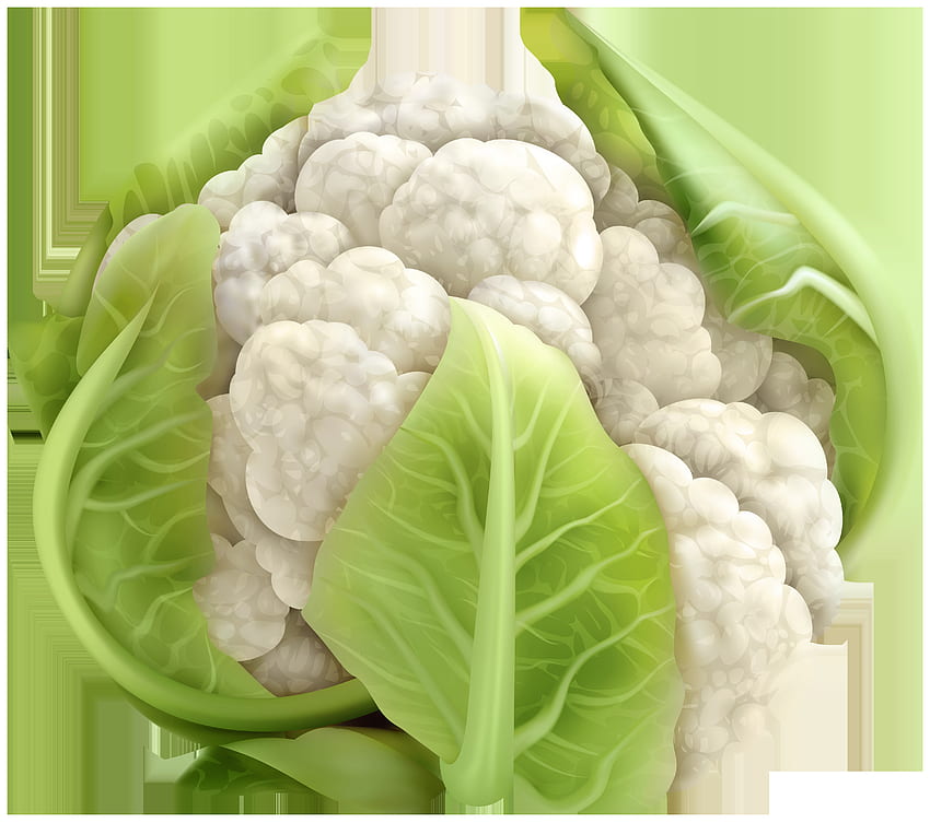 Cauliflower PNG Clip Art High Quality And Transparent PNG Clipart HD wallpaper