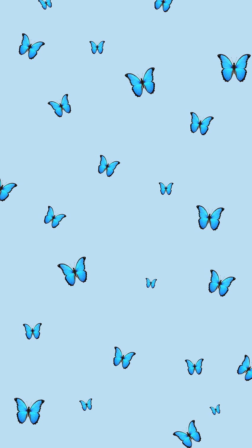 Niebieski motyl, niebieski kwiat i motyl Tapeta na telefon HD