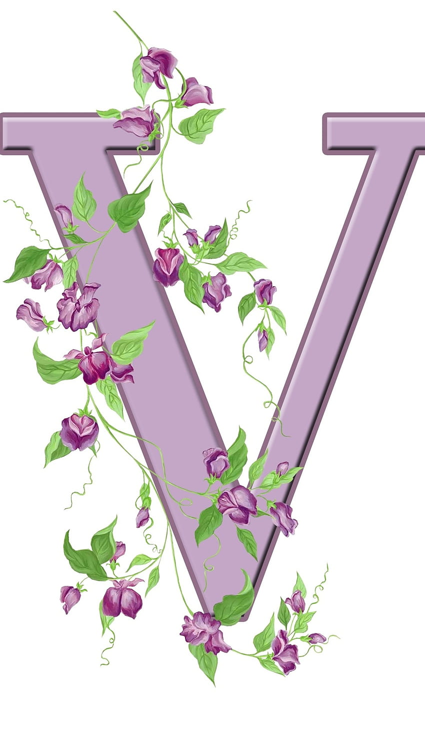 V Letter, Purple HD phone wallpaper | Pxfuel