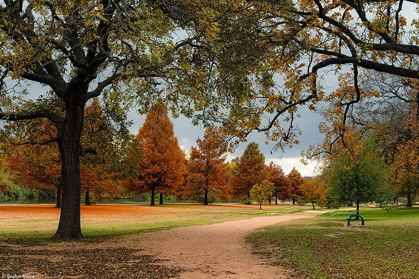 Тексас САЩ Северен Джорджтаун Природа Есенни паркове Дървета HD тапет