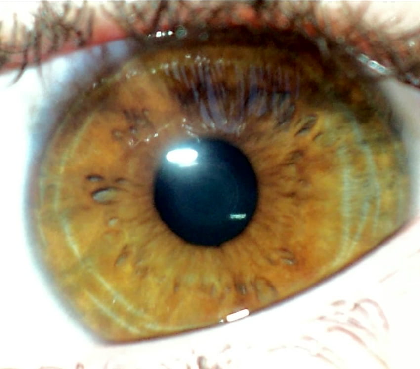 Mataku, mata manusia, lingkaran, mata manusia, mata Wallpaper HD