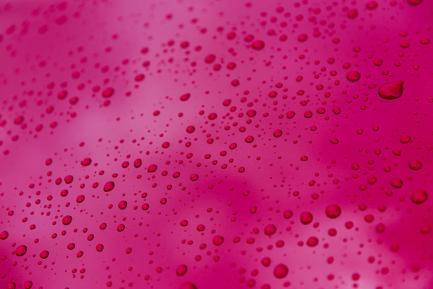 Pink, Tetes, Tekstur, Tekstur, Permukaan Wallpaper HD