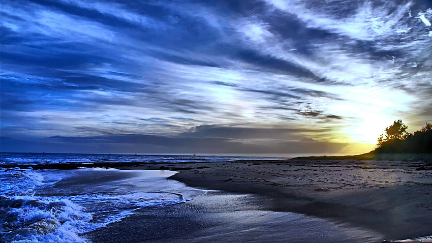 Sensación Brisa, azul, mar, sol, árboles, cielo, ola, playa fondo de pantalla