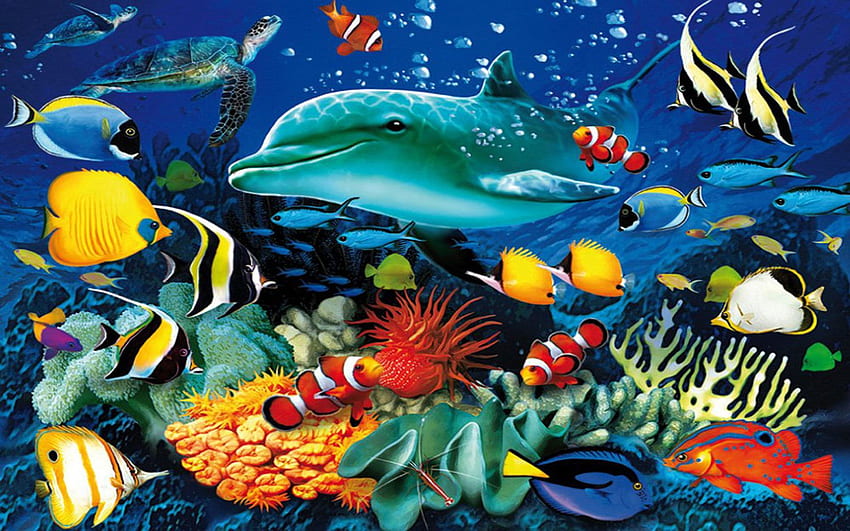 Ozean Unterwasserwelt Meereslebewesen Delphin Meeresschildkröte Bunte tropische Fische , Koralle Für PC, Tablet und Handy 1920×1200 • Für Sie Für & Handy HD-Hintergrundbild