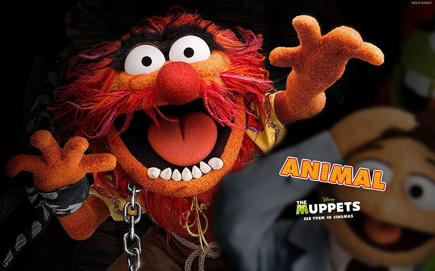 Muppets. Muppets Animal, Muppets from Space y The Muppets fondo de pantalla