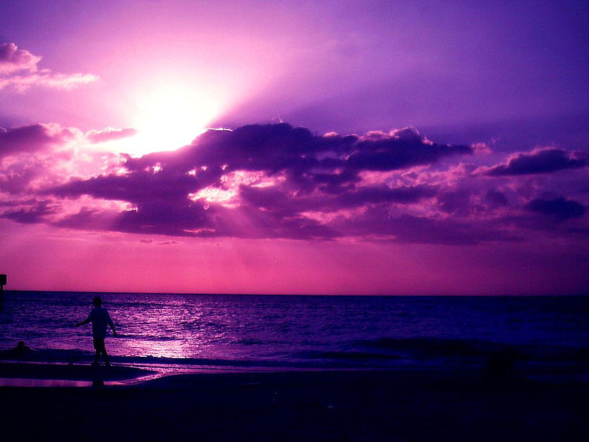 Purple Sunsets, Pink and Purple Sunset HD wallpaper