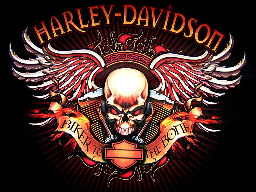 : Motociclette Harley Davidson, Moto Custom, Motociclisti fuorilegge Sfondo HD