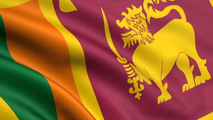 Bandeira do Sri Lanka, Bandeira Nacional papel de parede HD