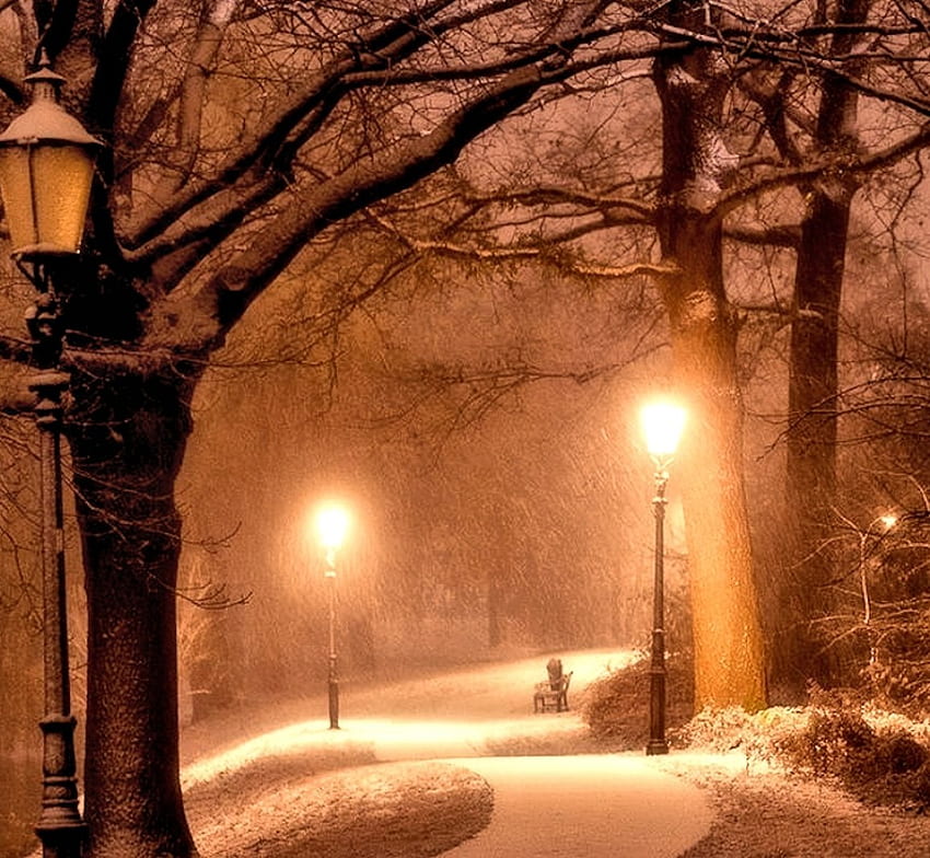 Noite De Inverno, Inverno, Natureza, Noite, Neve papel de parede HD