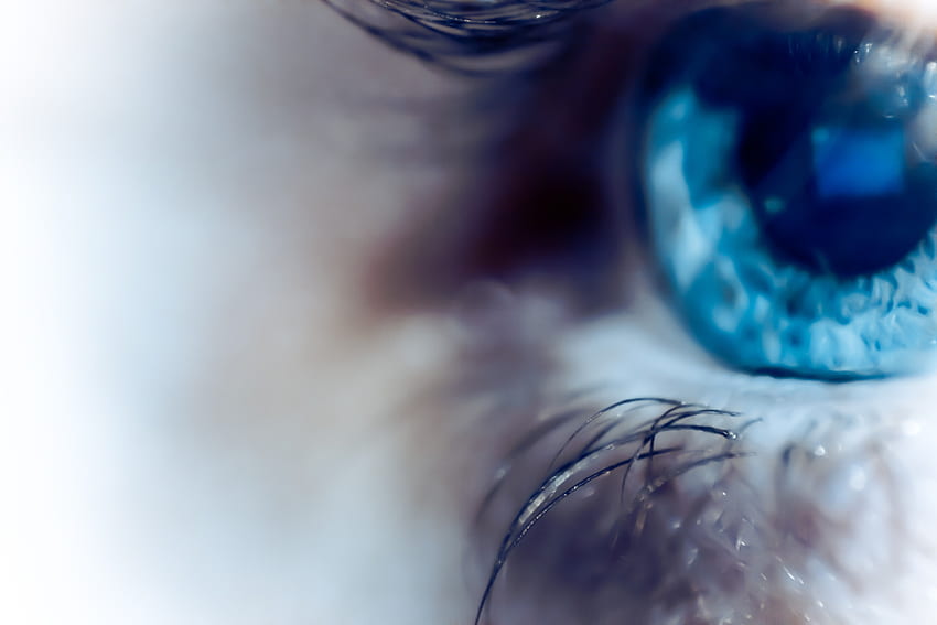 blue, eyes, artistic, human, eye HD wallpaper
