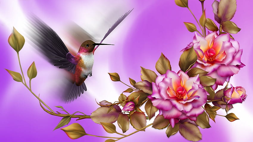 Wallpaper 4k Hummingbird Wallpaper