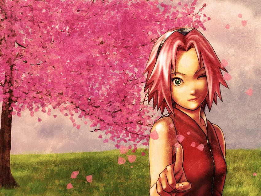 Dwa razy Sakura, różowy, liście, anime, zielony, sakura, naruto, drzewo Tapeta HD