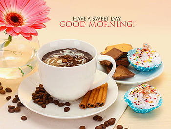 38 Sweet & Romantic Good Morning Messages to My Love, good morning my love HD  wallpaper | Pxfuel