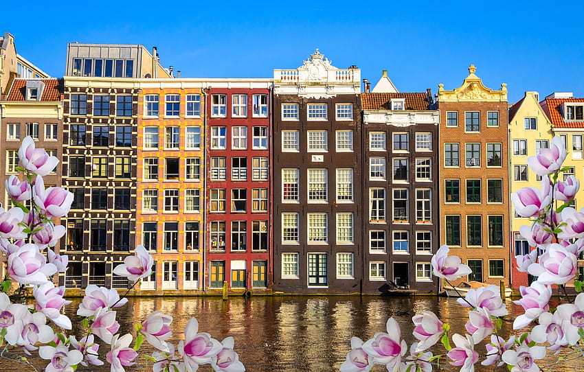 river, spring, Amsterdam, flowering, blossom, Amsterdam, flowers, old, spring, buildings, Netherlands, canal for , section город HD wallpaper