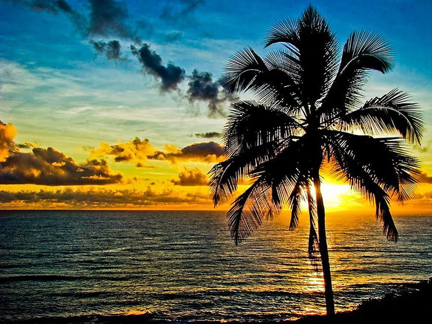 Itacare- Brazylia, tropikalny, plaże, brazylia, wschód słońca, brazylia, natura, palmy, zachód słońca, ocean Tapeta HD