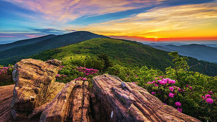 Tennessee's Appalachian Trail'den destansı bir manzara, kayalar, dağlar, orman, gün batımı, tepeler, manzara, renkler, ABD, çiçekler, ağaçlar, bulutlar, gökyüzü HD duvar kağıdı