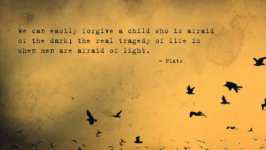 Plato Quote Tragedy Of Life Nashville, Philosophy HD wallpaper