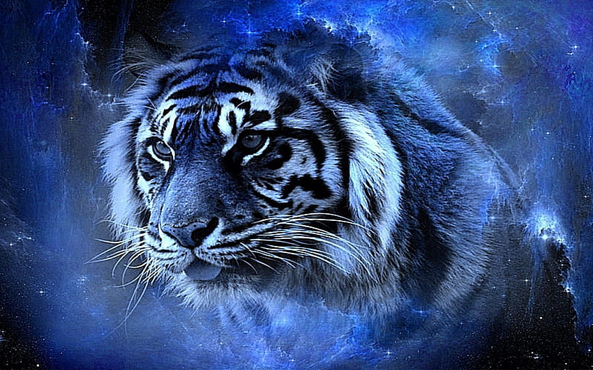 Real Tigers 3D Full . Top Model Hairstyle HD wallpaper