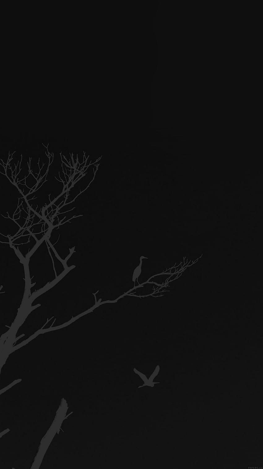 Ptak Zachód Słońca Drzewo Ciemna Natura Minimalny iPhone 6 . na iPhone'a. Czarny telefon, minimalistyczny telefon, iPhone minimalistyczny, minimalistyczny iPhone 8 Plus Tapeta na telefon HD