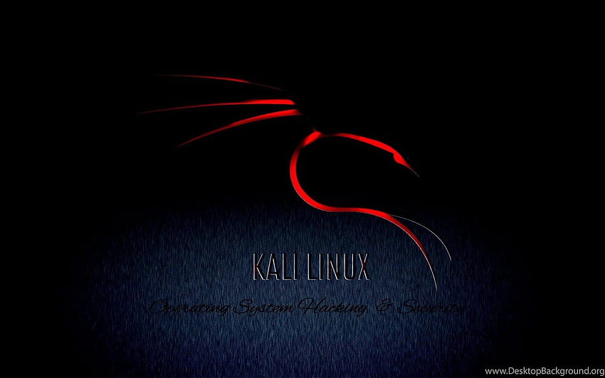 Kali Linux Background, Kali Linux Black HD wallpaper | Pxfuel
