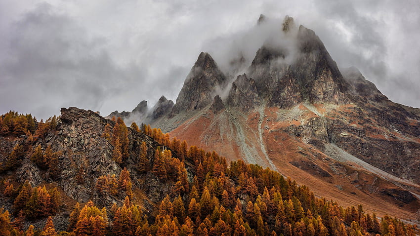 Gebirge , Wald, Herbst, Nebel, Gipfel, Graubünden, Schweiz, , Natur HD-Hintergrundbild
