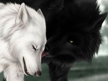 white wolf with red eyes anime