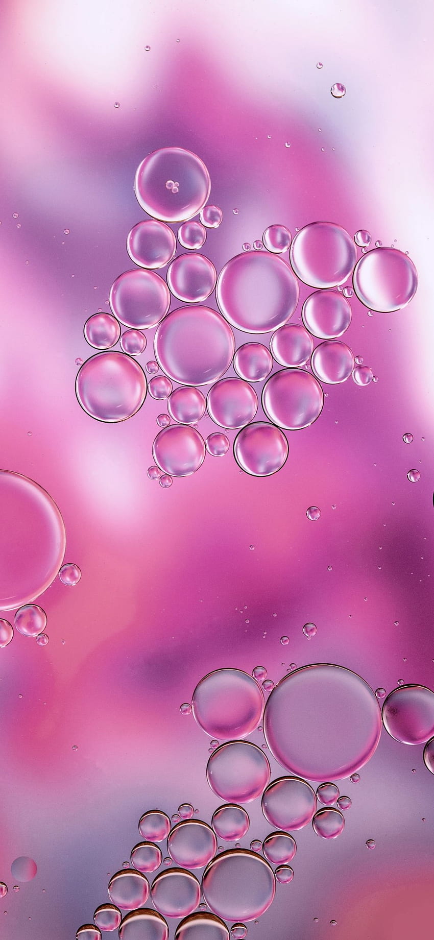 Bloob - Bubbles Pink -, Cat and Bubbles HD phone wallpaper