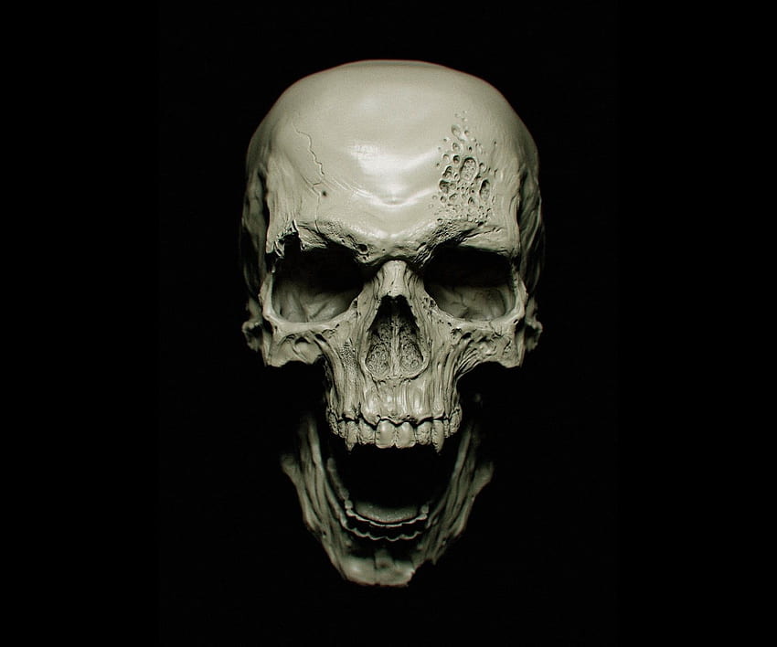 Crânio humano branco, escuro, vampiros, crânio, fundo preto papel de parede HD