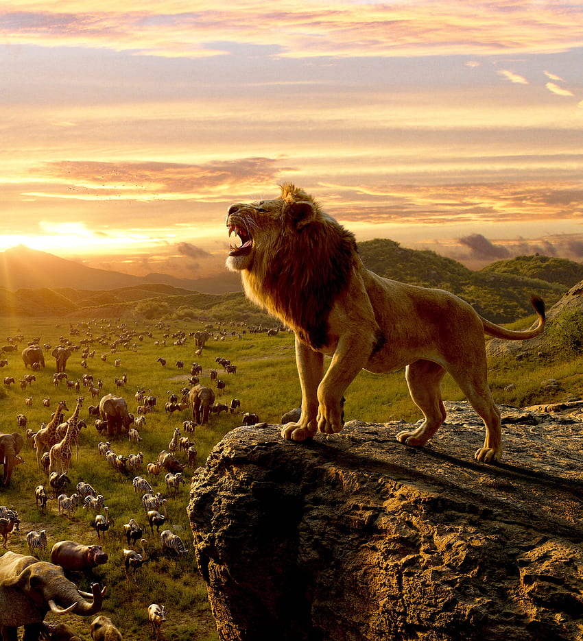 Aslan Kral, ormanın kralı, film 2019, Simba HD telefon duvar kağıdı