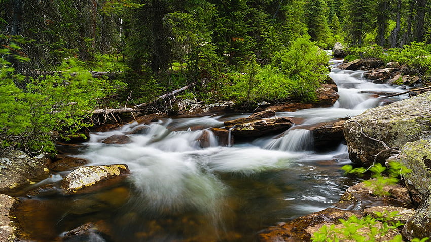 Cascading Hunter Creek, Williams Mountains, Colorado, água, rochas, rio, árvores, floresta, EUA papel de parede HD