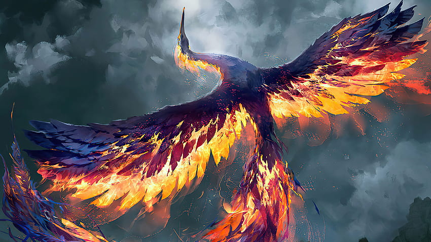 Spellfire Phoenix , Artista, , y Chica Fénix fondo de pantalla | Pxfuel