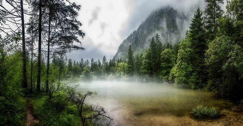 Morgennebel, Nebel, Berge, Wald, See HD-Hintergrundbild