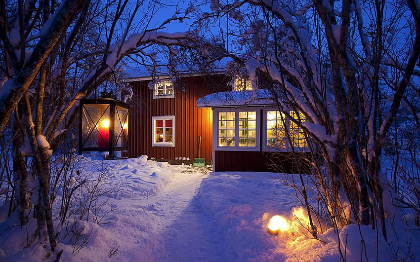 Windows 8 Theme : Winter snow night - HD wallpaper