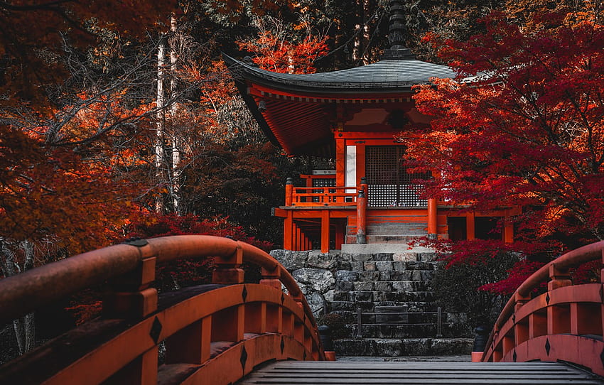 Autumn, Trees, Bridge, Japan, Temple, Japan, Kyoto, Kyoto, Bentendo Hall, The Temple Daigo JI Temple, Daigo Ji Temple, Bentendo Hall For , Section пейзажи HD wallpaper