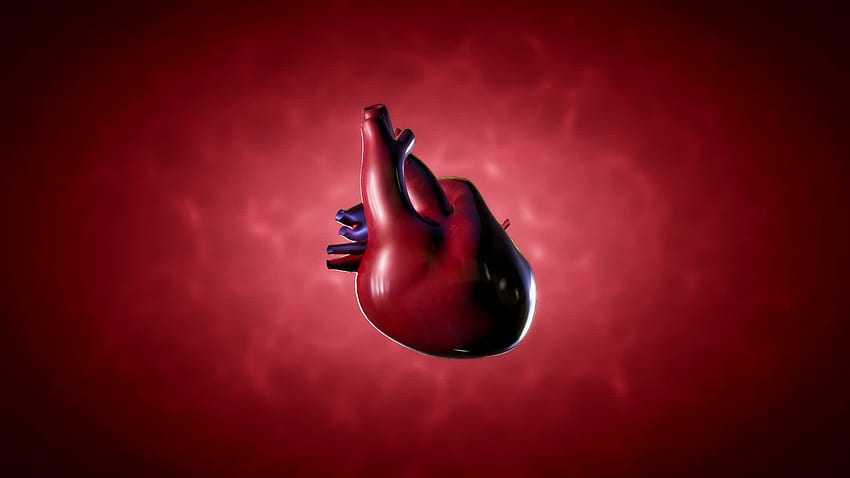 Cardiology HD wallpaper