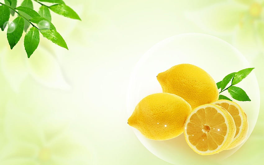 Lemon, Pohon Jeruk Wallpaper HD