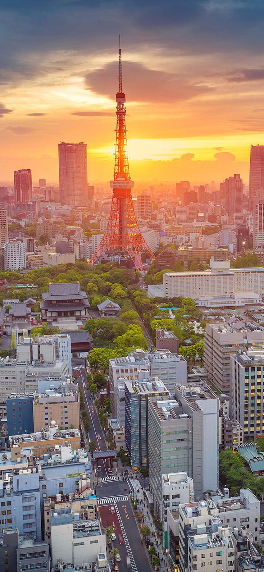 Morning In Tokyo iPhone XS, iPhone 10, iPhone X HD phone wallpaper | Pxfuel