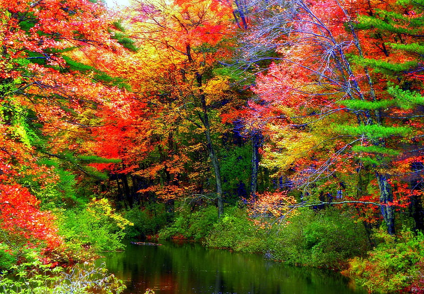 -Autumn River-, 다채로운, 그래픽, 꿈속의 명소, 가을, 색상, 아름다운, 가을의 아름다움, 창의적인 사전 제작, 풍경, 사계절 사랑, 잎, 나무, 가을, 자연, 강, 멋진 HD 월페이퍼