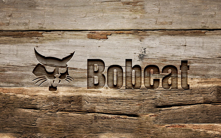 ボブキャットの木製ロゴ、木製の背景、ブランド、ボブキャットのロゴ、クリエイティブ、木彫り、ボブキャット 高画質の壁紙