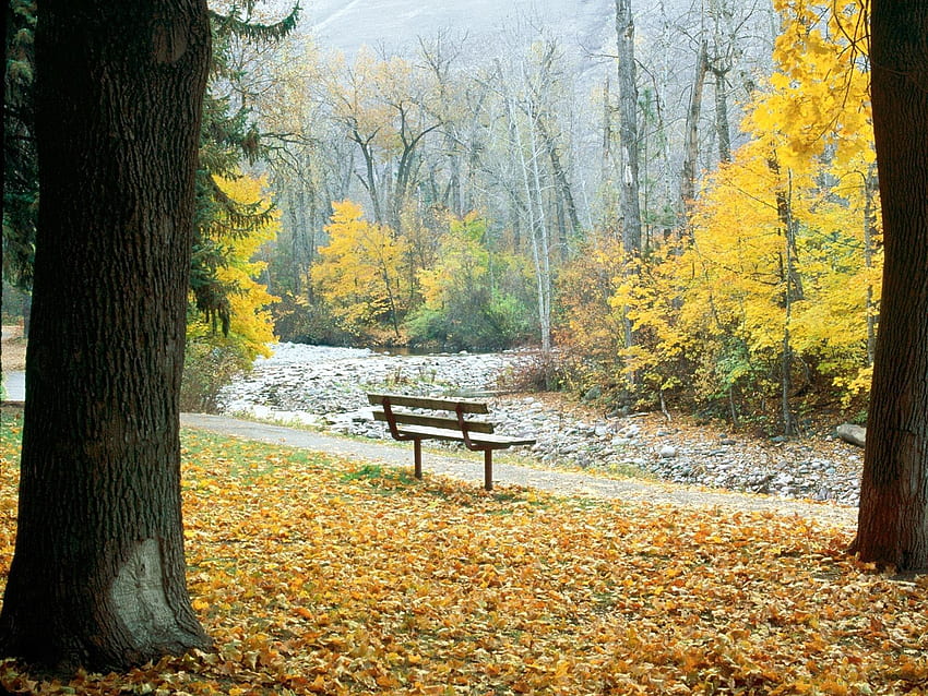 naturaleza, árboles, otoño, parque, banco, montana fondo de pantalla