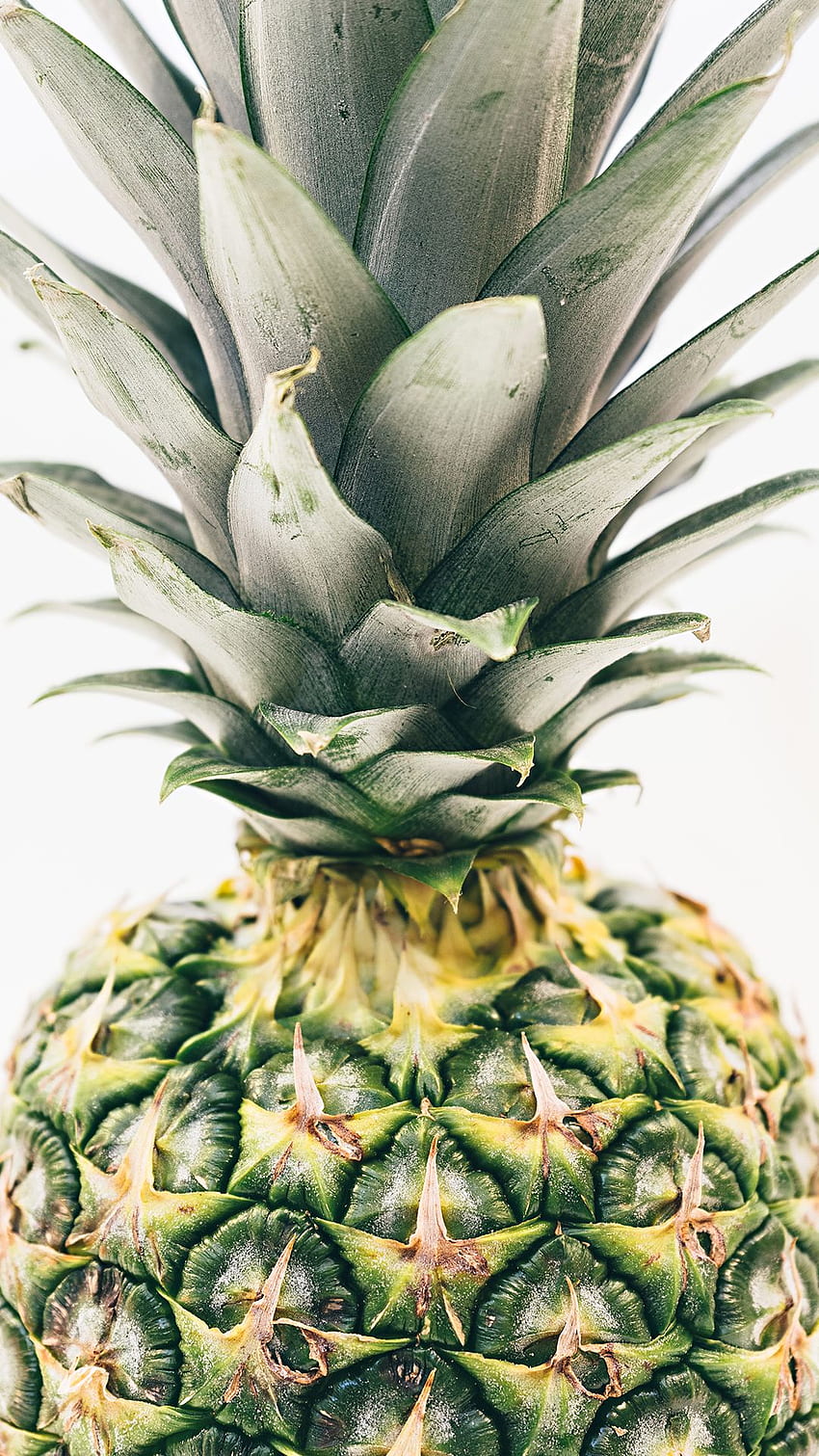 This Iphone Pineapple Background Iphone Pineapple Pineapple 5s Hd Phone Wallpaper Pxfuel