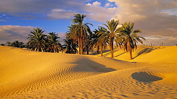 Sand hammams: Getting a sand bath in the Sahara Desert