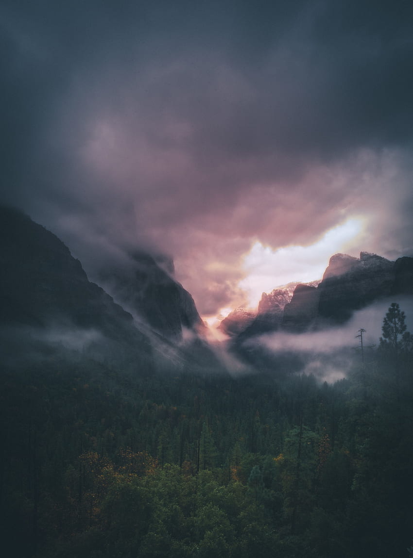 Nature, Trees, Sky, Mountains, Clouds, View From Above, Fog HD phone wallpaper