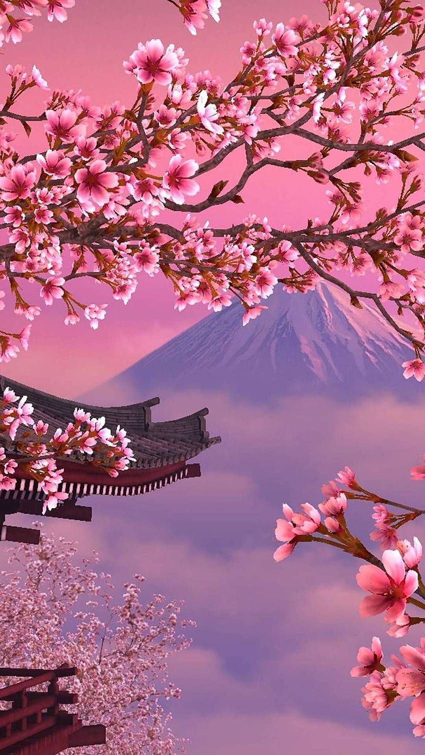 Cherry Blossom Wallpapers: Free HD Download [500+ HQ] | Unsplash